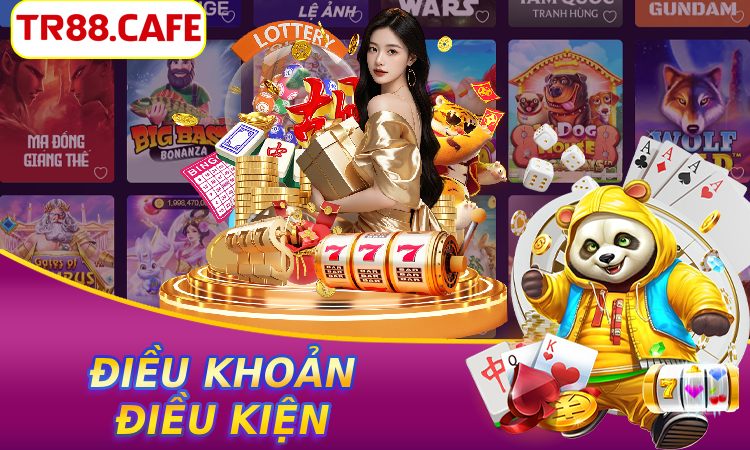 Điều Khoản Điều Kiện