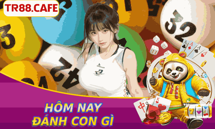 Hôm nay đánh con gì